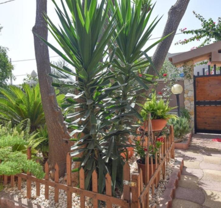 Casa Di Alice A 250 Metri Dal Mare Noto