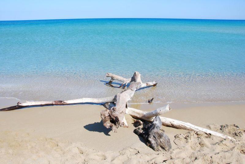 Casa Di Alice A 250 Metri Dal Mare Holiday home Noto