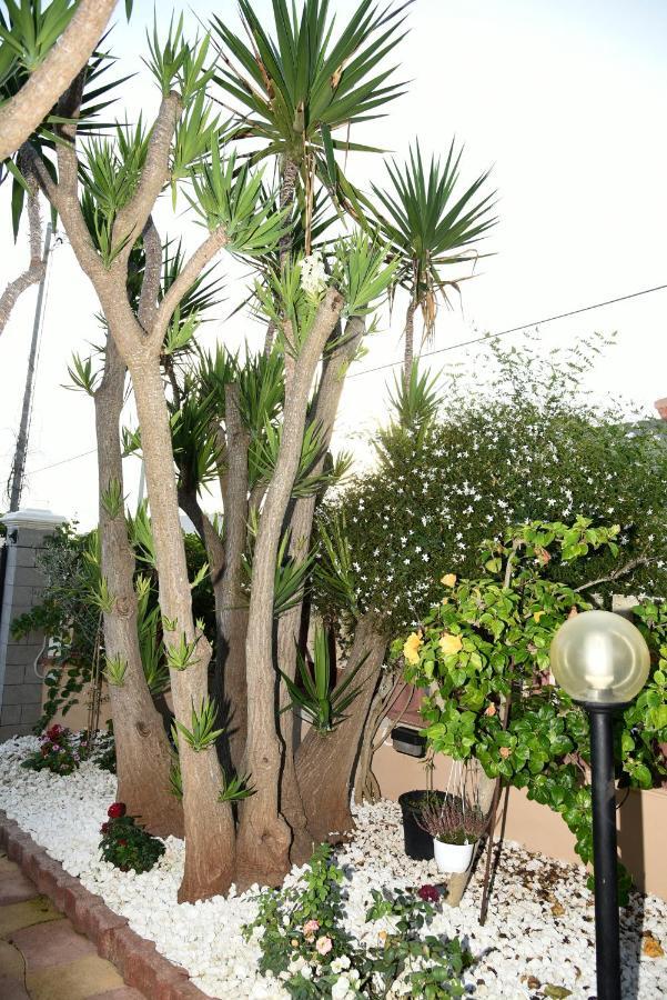 Holiday home Casa Di Alice A 250 Metri Dal Mare *